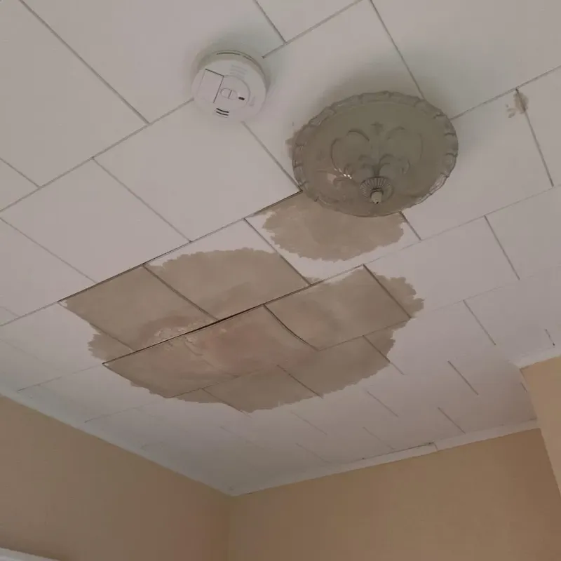 Ceiling Water Damage Repair in Donley County, TX