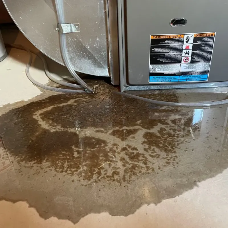 Pipe Burst and Leak Restoration in Donley County, TX