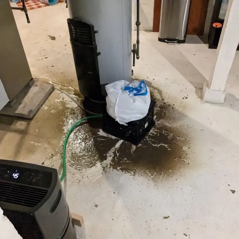 Sewage Backup Cleanup Service in Donley County, TX